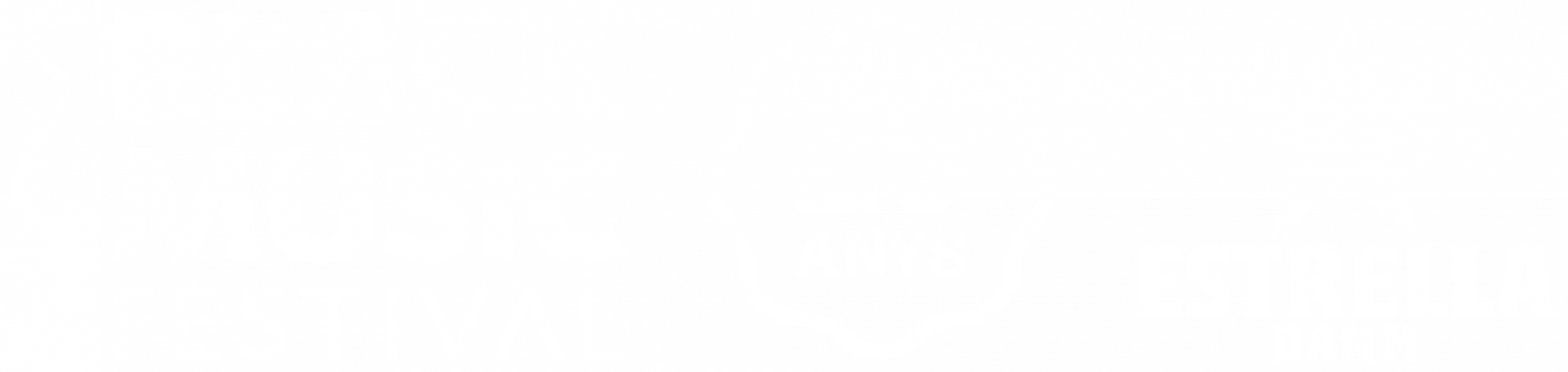 Black Music Festival